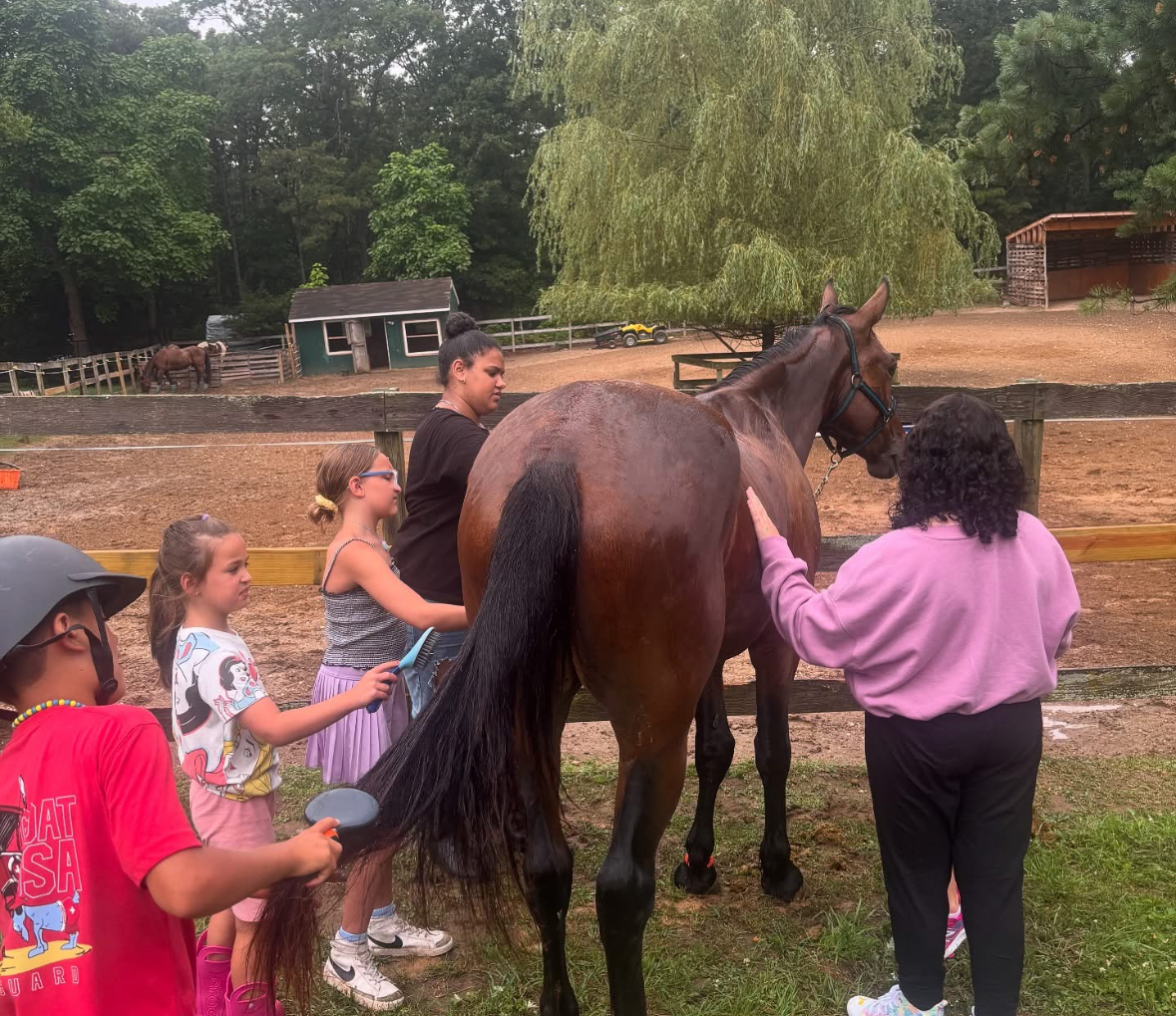 Finding Connection Through Equine-Assisted Learning: More Than Just Time With Horses